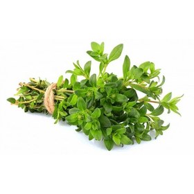 تصویر آویشن Thyme