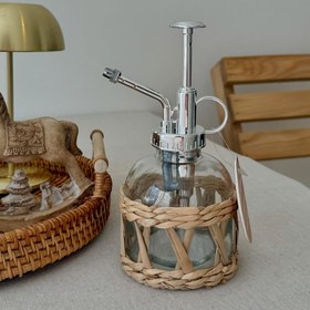 تصویر شاخه اکالیپتوس وارداتی 