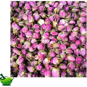 تصویر غنچه گل داراب 