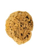 تصویر اسفنج دریایی طبیعی کد TM-HM 