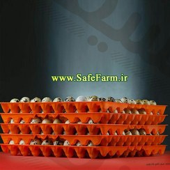 تصویر ظرف حمل تخم بلدرچین 72 عددی 