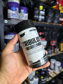 تصویر تریبلوس ناترکس 