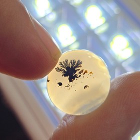 تصویر نگین شجر معدنی 