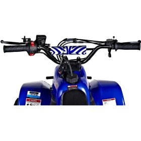 تصویر موتور چهارچرخ بنزینی 110 سی سی 