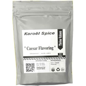 تصویر طعم دهنده سس سزار برند Karoël Spice - 250 گرمی 