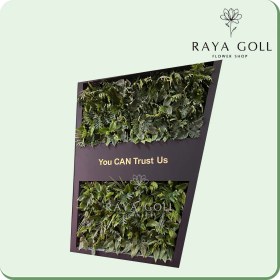 تصویر گرین وال هاوایی 