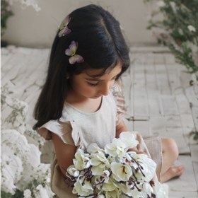 تصویر گیره پروانه حریر سری 2 