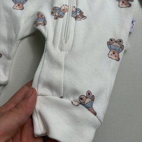 تصویر سرهمی تدی 