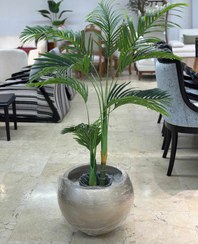 تصویر درختچه نخل مصنوعی ارتفاع ۱۷۰ 