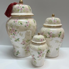 تصویر جینجرجار رومنس صدفی 