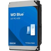تصویر هارد دیسک اینترنال وسترن دیجیتال مدل WD BLUE ظرفیت ۲۵۰ گیگابایت 