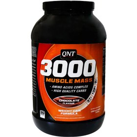 تصویر پودر ماسل مس ۳۰۰۰ کیو ان تی QTN Muscle Mass 3000