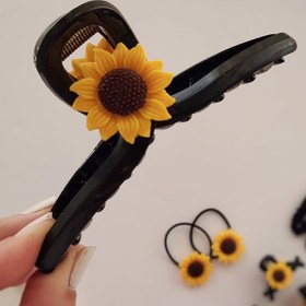 تصویر کلیپس افتابگردان 