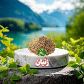 تصویر زنیان 