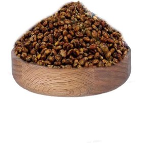 تصویر سماق سالم 