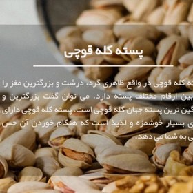 تصویر موجودی پسته ی عالی و پر طرفدار کله قوچی خوش 