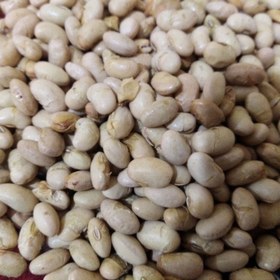 تصویر سویا آجیلی 