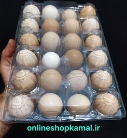 تصویر ظرف ۲۴ عددی (خانه) تخم مرغ 