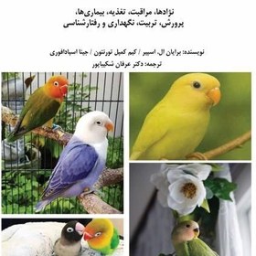 تصویر طوطی برزیلی 