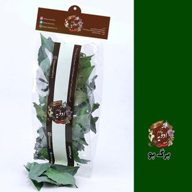 تصویر برگ بو 