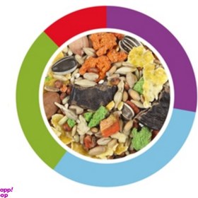 تصویر غذای آجیلی همستر دیاکو وزن 400 گرم 