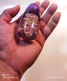 تصویر سردنده 