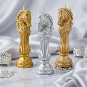 تصویر شمع اسب لاریس 