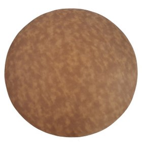 تصویر قارچ ژیمناستیک مدل GH02 