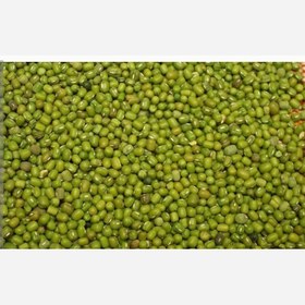 تصویر ماش اعلا 