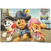 تصویر رو بالشی کودک مدل سگهای نگهبان کد 0400 