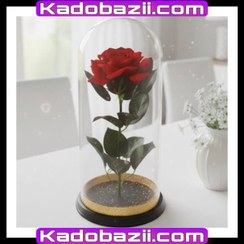 تصویر رز قرمز جاودان فلکسی 