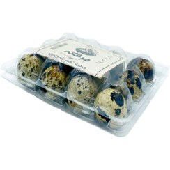 تصویر تخم بلدرچین بسته ۱۲ عددی 