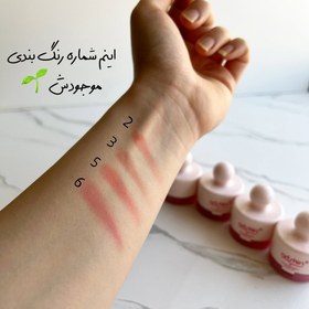 تصویر رژگونه پد دار - 3 