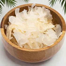 تصویر کتیرا 