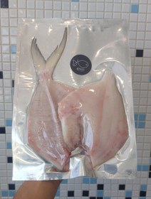 تصویر ماهی حلوا سفید 