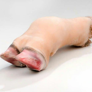 تصویر فروشگاه پخش امیت