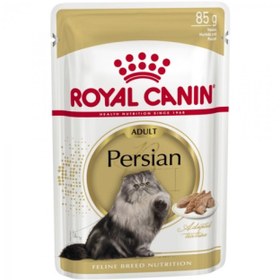 تصویر پوچ رویال کنین مخصوص گربه پرشین | Persian باکس Persian Pouche Royal Canin