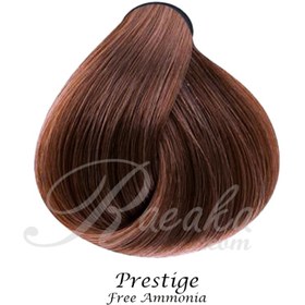تصویر رنگ موی پرستیژ بدون آمونیاک سری شکلاتی شماره 7.53 