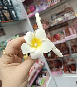 تصویر کلیپس پلومریا زرد 