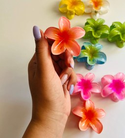 تصویر کلیپس پلومریا - ابی 