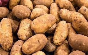 تصویر سیب زمینی تو زرد خوش پخت پز اردبیل - کرمانشاه Potato