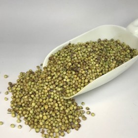 تصویر تخم گشنیز 85 گرمی (عطارباشی) 