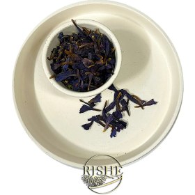 تصویر گل گاوزبان 