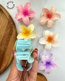 تصویر کلیپس پلومریا سایز ۸ سانت رنگی 