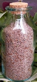 تصویر اسفرزه 