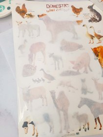 تصویر کاغذ پوستی شفاف 