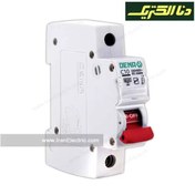 تصویر فیوز مینیاتوری دنا الکتریک مدل C10 ظرفیت ۱۰ آمپر 