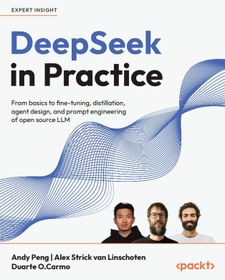 تصویر کتاب DeepSeek in Practice 