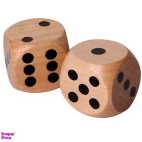 تصویر تاس مدل AR 6655 بسته 2 عددی 