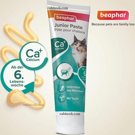 تصویر خمیر مولتی ویتامین بچه گربه بیفار (beaphar Junior Cat Paste) وزن 100 گرم beaphar Junior Cat Paste 100gr